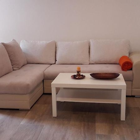 Apartment Nena- Apartman Sa Posebnim Ulazom U Prizemlju, Terasom I Zelenom Okucnicom Rakotule Eksteriør billede