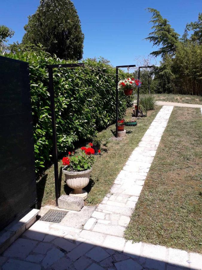 Apartment Nena- Apartman Sa Posebnim Ulazom U Prizemlju, Terasom I Zelenom Okucnicom Rakotule Eksteriør billede