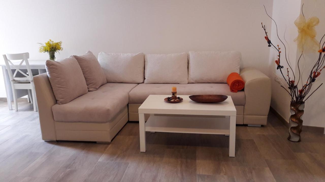 Apartment Nena- Apartman Sa Posebnim Ulazom U Prizemlju, Terasom I Zelenom Okucnicom Rakotule Eksteriør billede