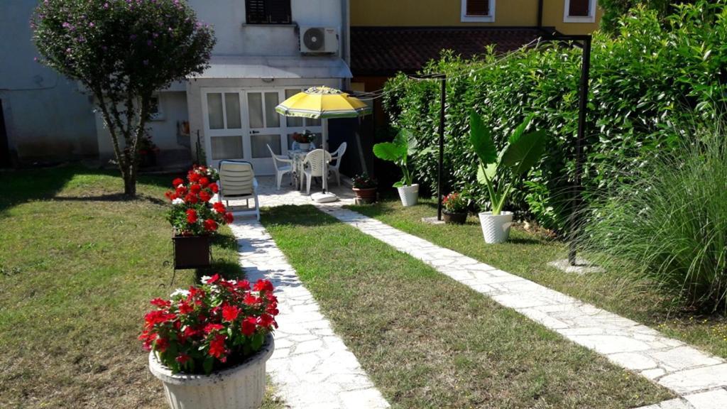 Apartment Nena- Apartman Sa Posebnim Ulazom U Prizemlju, Terasom I Zelenom Okucnicom Rakotule Eksteriør billede